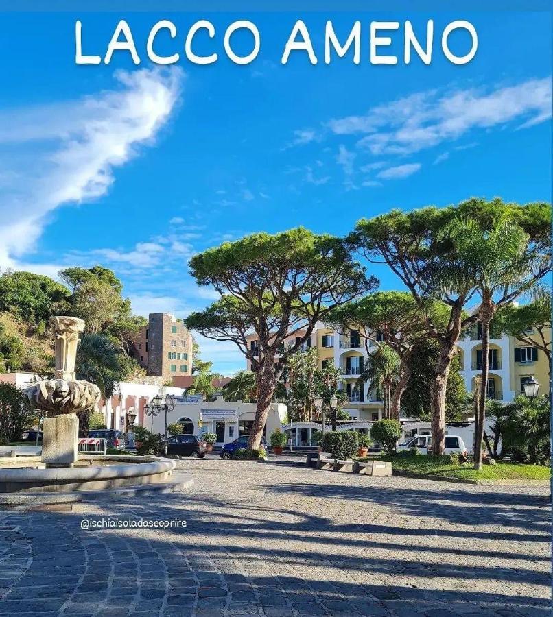 拉科阿梅诺Casa Neval Lacco Ameno公寓 外观 照片